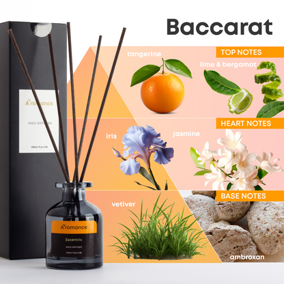 Escentric Reed Diffuser Set | Fresh Delicate Citrus Fragrance | 3.38 oz